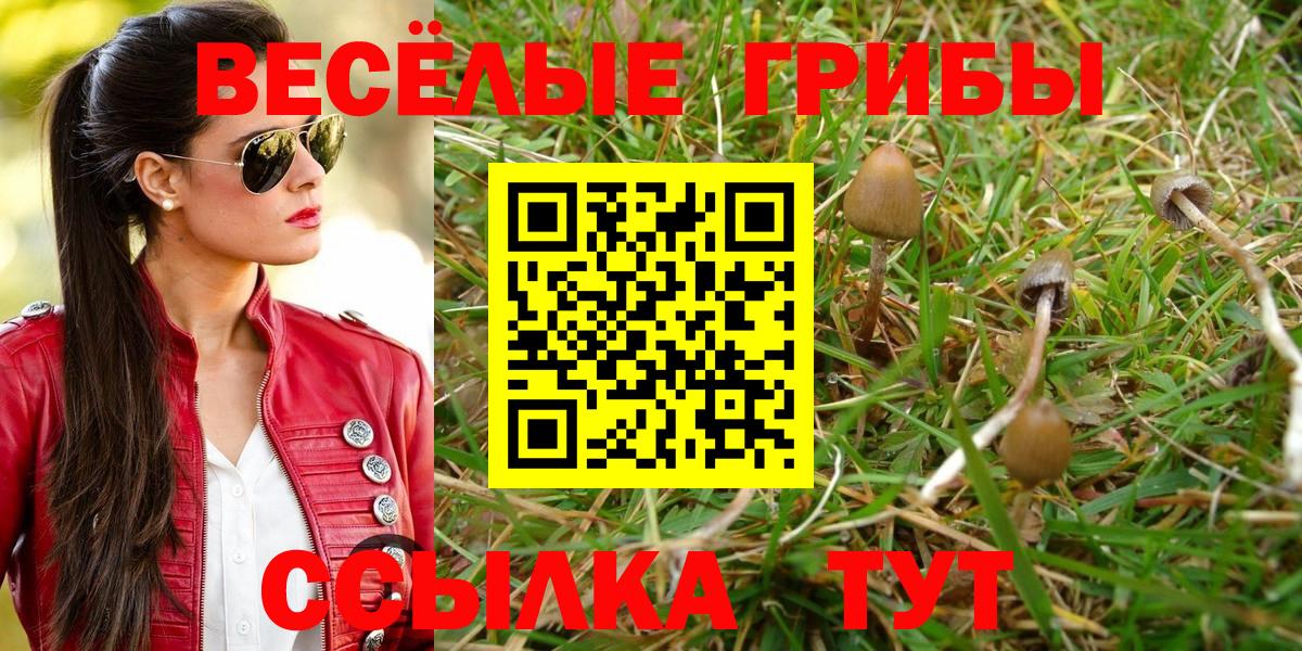 Псилоцибиновые грибы Cubensis Сызрань